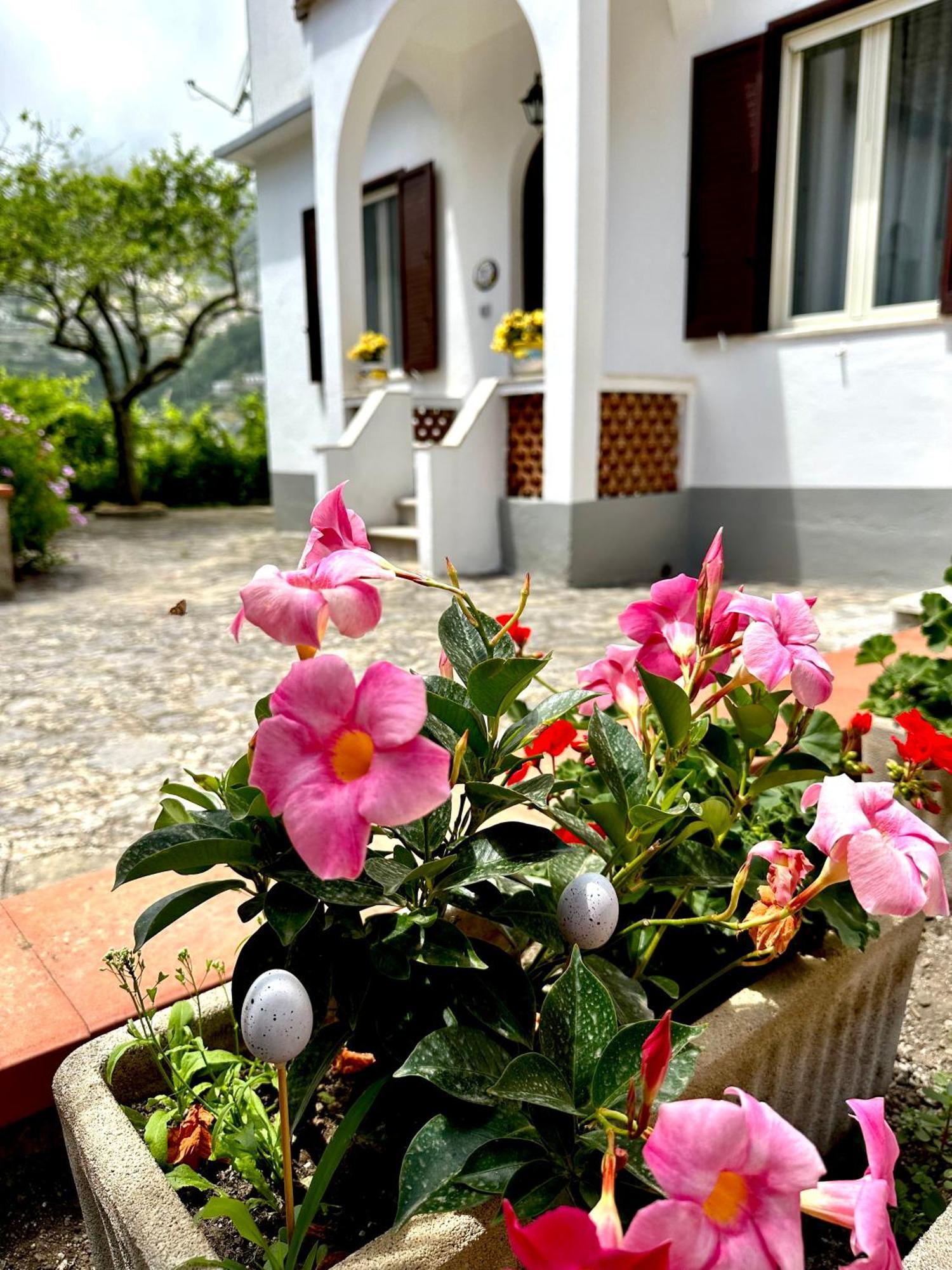 Villa Simona House Ravello Esterno foto